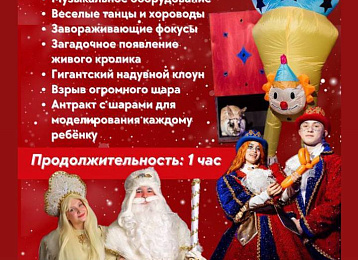 НОВОГОДНЯЯ ЕЛКА     -    27 декабря 2025 года